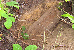 Udělalo mi to radost