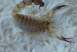 Nalezy z BA Lesoparku