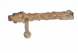 Pár nálezů z pole a lesa