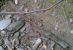 Procházka potokem + starší nález