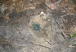 A pak, že zelená uklidňuje