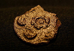 Prosba o určení stáří torza knoflíku