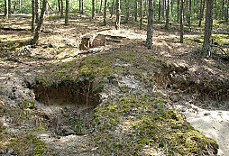 Náboje