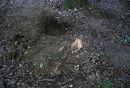 Parádní konec dovolené!