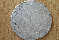 Neznámý stříbrnáček