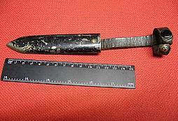 Přírustky zaminulý týden