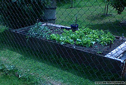 Jak Vana s Pínem exhumovali pancíř