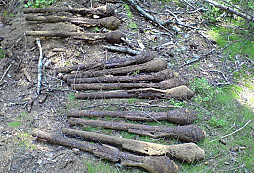 Tucet pancrů
