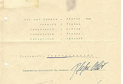 Falešné židovské karty?