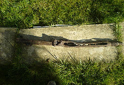 MG 42