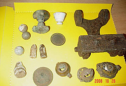 Páteční ůklid lesa