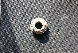 Věci darované muzeu