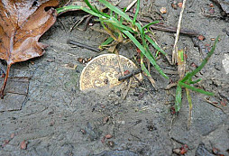 Stříbrný ring a drobnosti