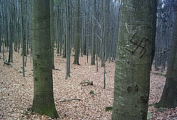 Další značky na stromech