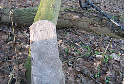 Nálezy