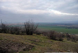 Trochu železa