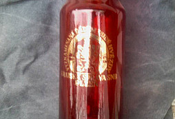 Skleněná vzpomínka na SNB a LM