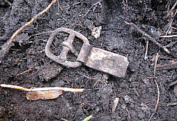Osmihodinovka leden 09