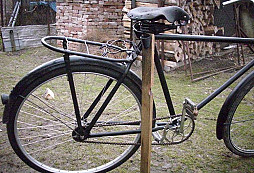 Moji traja krásavci