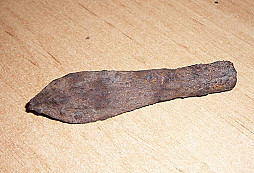 Sobotní procházka okolních lesů