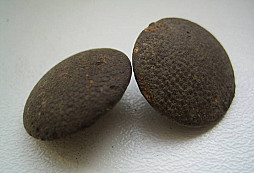 Hilzny II.