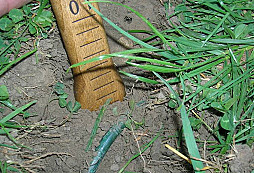 Bronzový nákrčník?