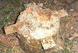 Zajímavost