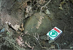Další smetí pryč