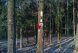 Letecká bitva nad Bílými Karpaty