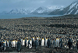 Ženy v uniforme - foto XXII. - Antarktída