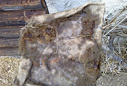 Nález?