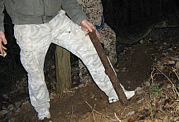 Nálezy