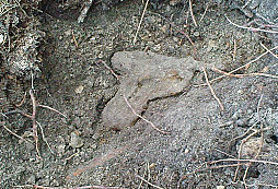 Zbraně