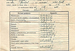 Zaujímavé vysvedčenie