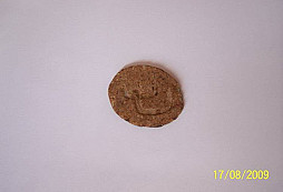Identifikace