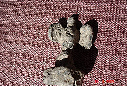 Políčko III.