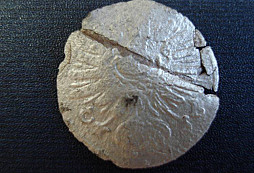 Stříbrňáček