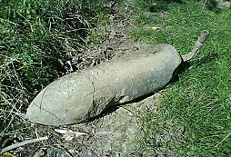 Nálezy