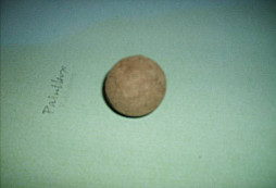 Nález