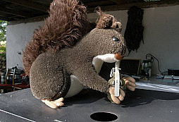 Jak dopadlo DOUBÍ 2009