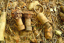 VZ. 24 a jiné militárie