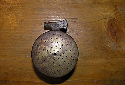 Z blešáku ve Francii