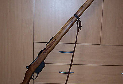 Amnestie Mannlicher M95