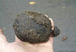 Hrabyně