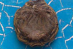 Rímsky amulet?
