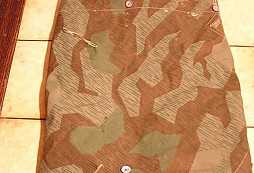 Nové přírustky ze štědré půdy