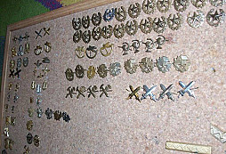 Rozlišovací odznaky druhů vojsk