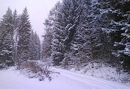 Procházka