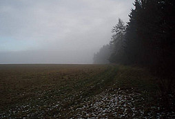 Jak na Nový rok, tak po celý rok