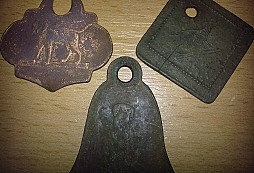 Něco z minulého roku